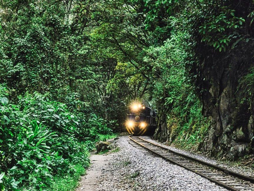 Trem de faróis acesos chegando pelos trilhos, no meio da mata