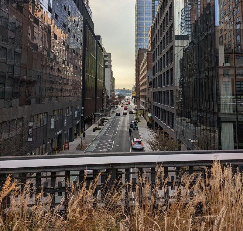 Rua entre prédios de vidro vista da High Line, com o capim do parque em primeiro plano