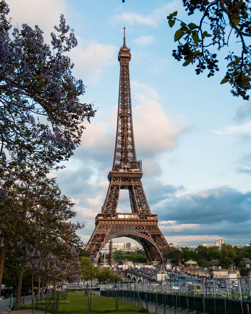 Torre Eiffel, em Paris, entre árvores floridas